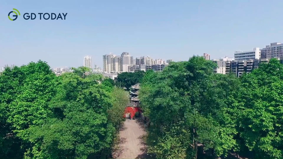 Video | Overseas Chinese and Guangdong