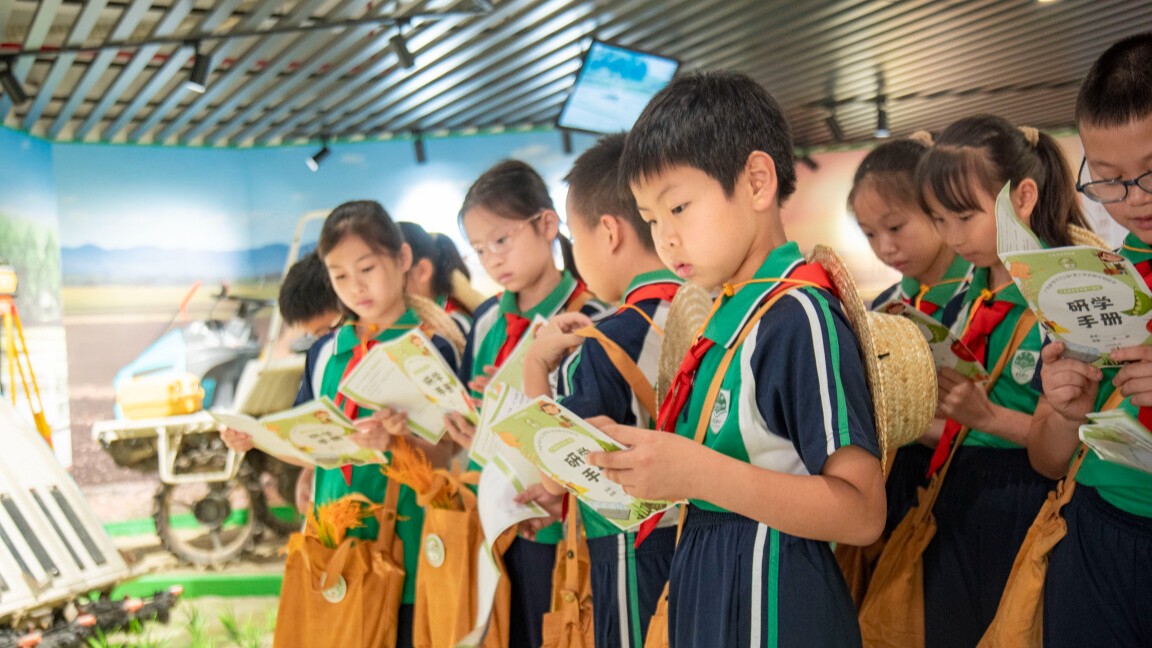 争做新时代好少年！广东各地以多彩活动迎“六一”