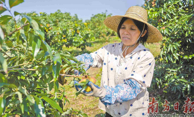 从田野到超市，每天24小时的广东湖人
