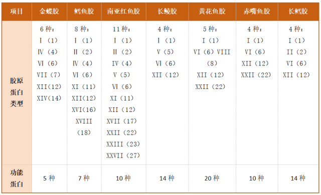 不同品种花胶活性蛋白对比。（来源：中国渔业协会鱼胶（花胶）分会）