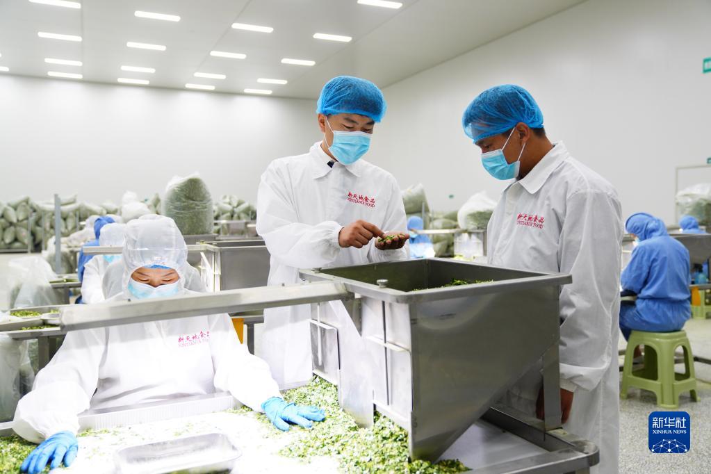 10月16日,在山东省兰陵县代村一家食品加工企业,代村党委成员刘聪聪(中)在检查产品质量。新华社记者 郭绪雷 摄