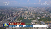 走进县城看发展丨安徽庐江:花园小城展新颜 走进县城看发展丨安徽庐江:花园小城展新颜