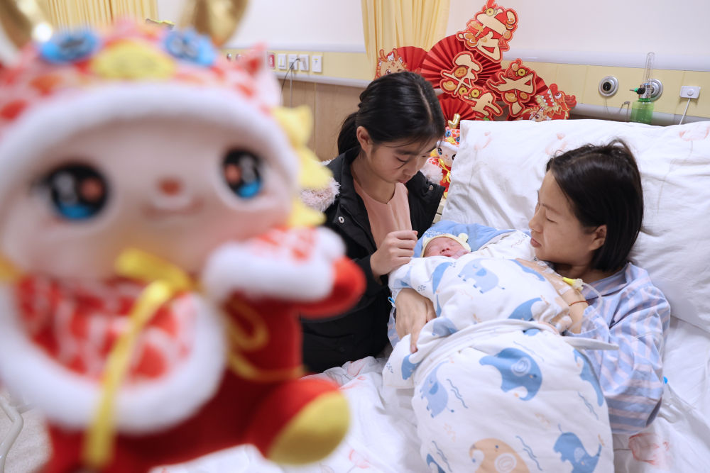 　　2月10日，医护人员将一名刚出生的“龙宝宝”推出产房。出生于2012年的“龙宝宝”韦诗颖 （右）和家人一起在院子里挂新春饰品	。在位于宁夏银川市的宁夏图书馆
，新华社记者 王鹏 摄