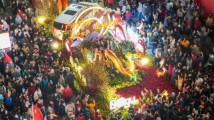 旺丁又旺财!广州迎春花市迎客632万人次 旺丁又旺财!广州迎春花市迎客632万人次