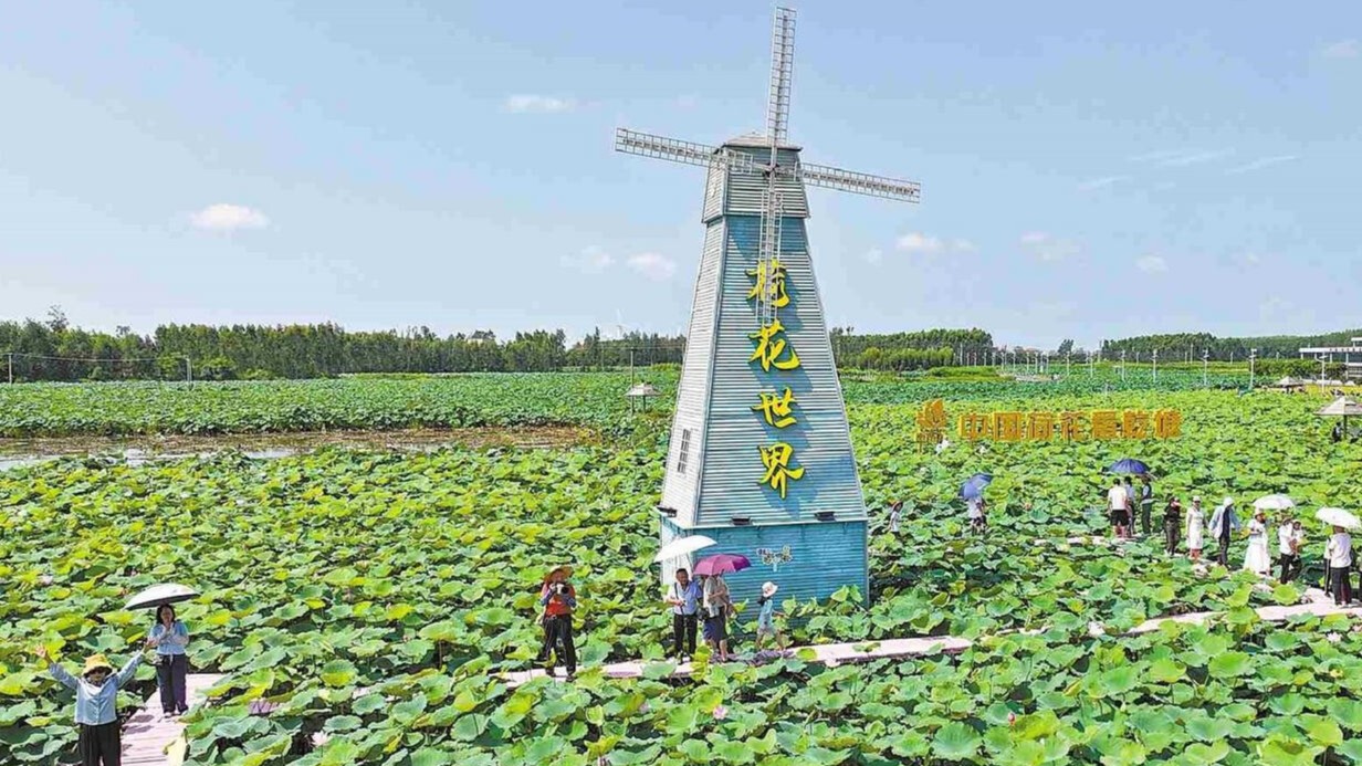 “媒体+”赋能，助力湛江乾塘莲藕产值大幅提升