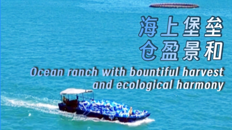Ocean ranch with bountiful harvest and ecological harmony