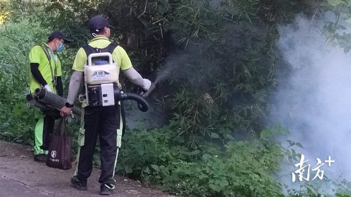 Experts cite low transmission risk, advise on avoiding mosquitoes as chikungunya cases surpass 4,000 in Foshan