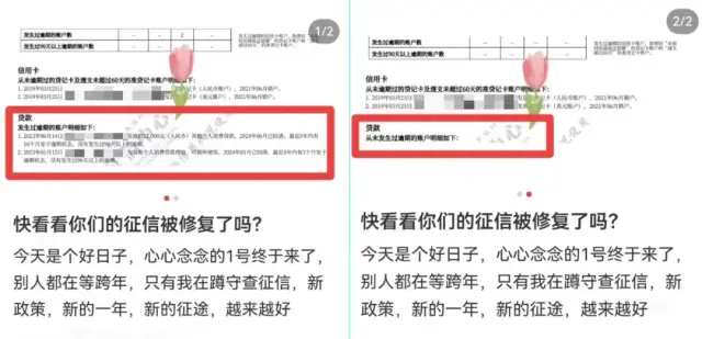 △网友晒出的征信报告截图