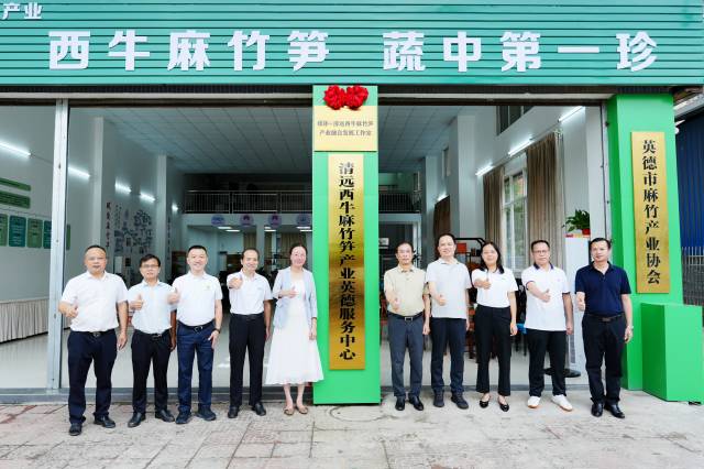 媒体+清远西牛麻竹笋融合发展工作室成立