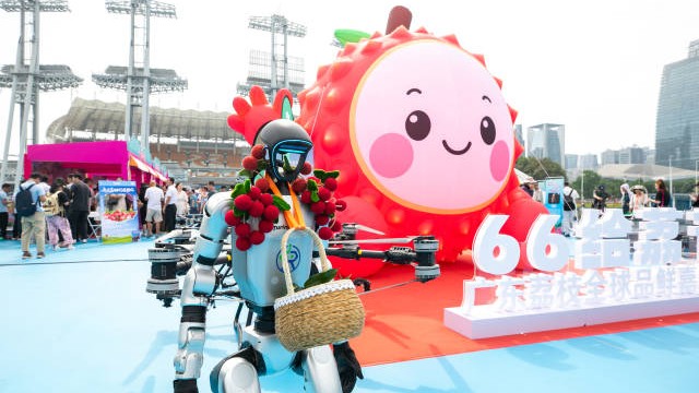 “媒体+”点亮百县千镇：2025广东主流媒体赋能乡村振兴实践录