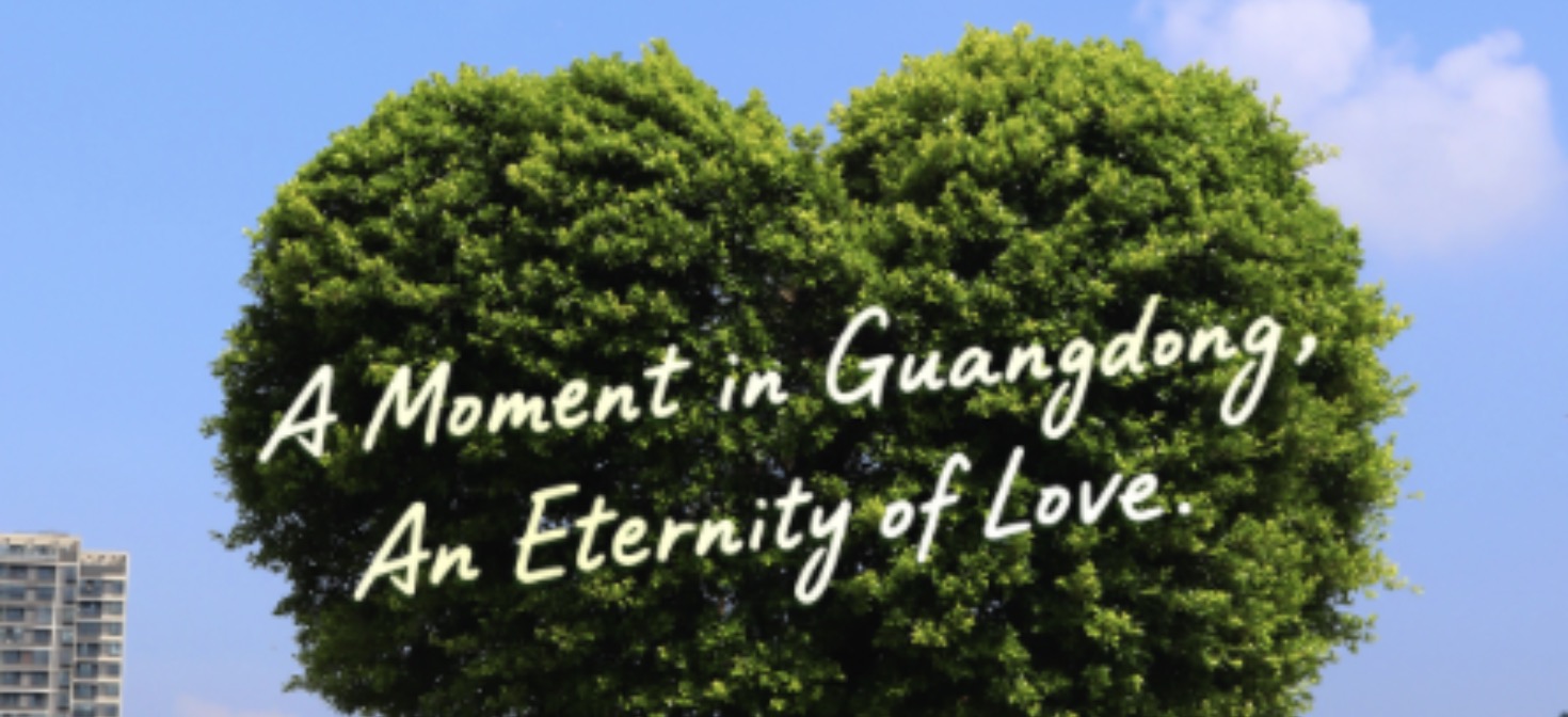 Weekly Highlights | A Moment in Guangdong, An Eternity of Love