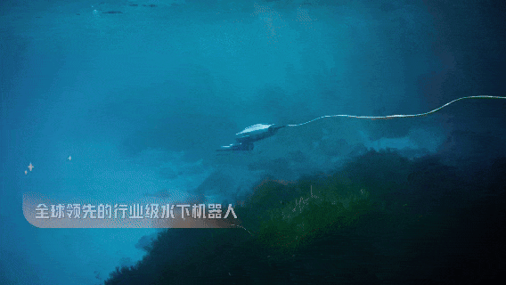 这一法案，特朗普签了！