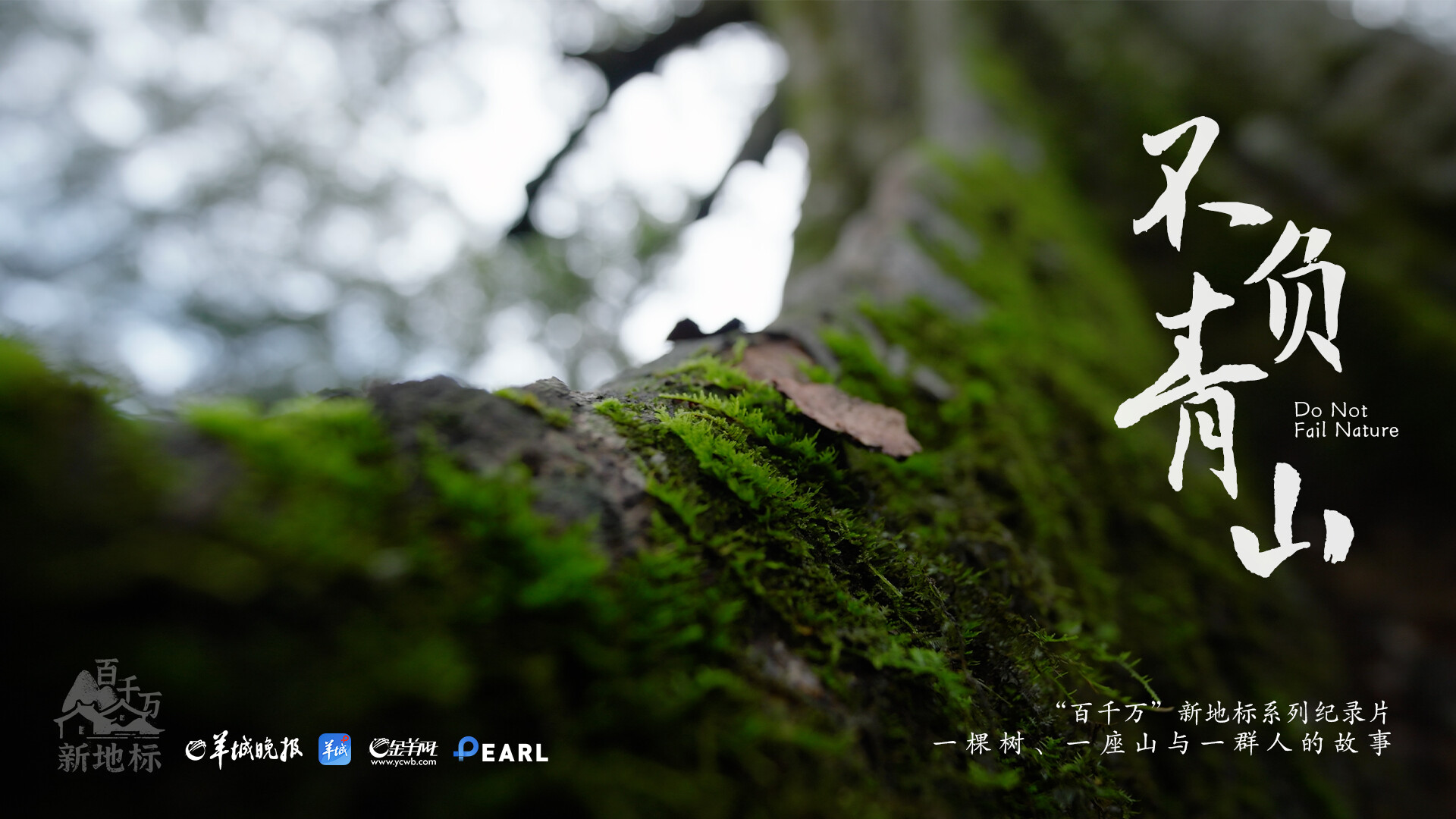 “‘百千万’新地标”系列纪录片《不负青山》｜在广东的山里，看见一片“海”