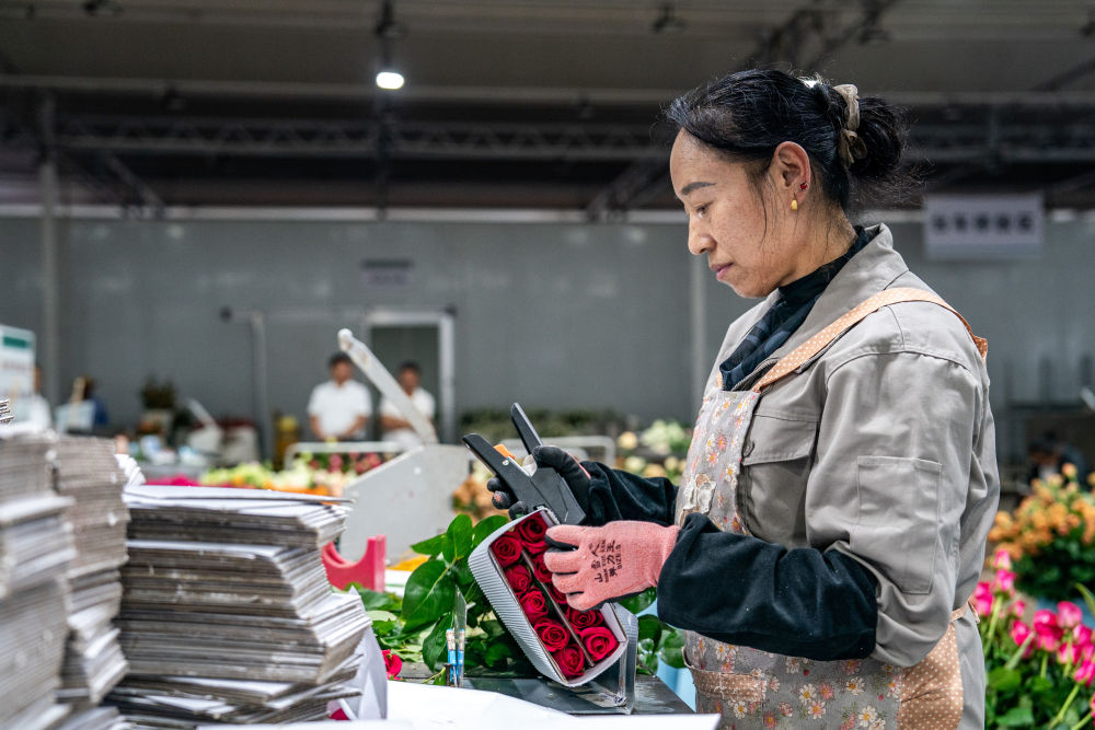 花卉工人在云南丽江现代花卉产业园的车间里打包鲜花（7月11日摄）。新华社记者 胡超 摄