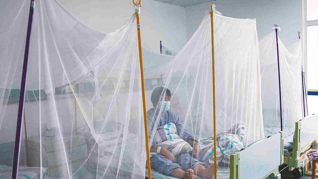 佛山98%基孔肯雅热疫点村居已由高风险降到中风险以下