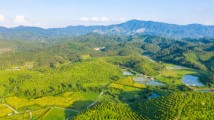广东公布2024年全面推行林长制和绿美广东生态建设工作考核结果 广东公布2024年全面推行林长制和绿美广东生态建设工作考核结果