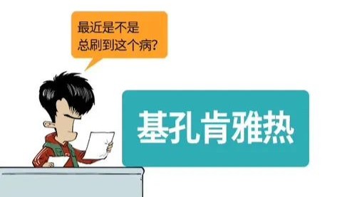 基孔肯雅热是啥病？会大规模暴发吗？