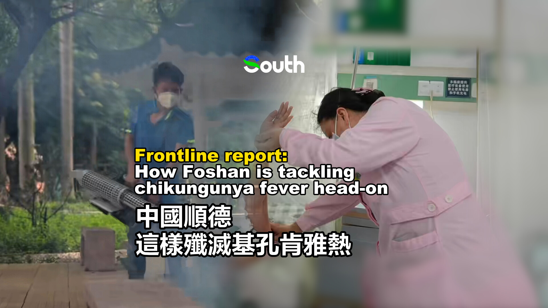 Frontline report: How Foshan is tackling chikungunya fever head-on