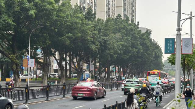 广东公安：去年电诈案件破案数同比上升18.6%