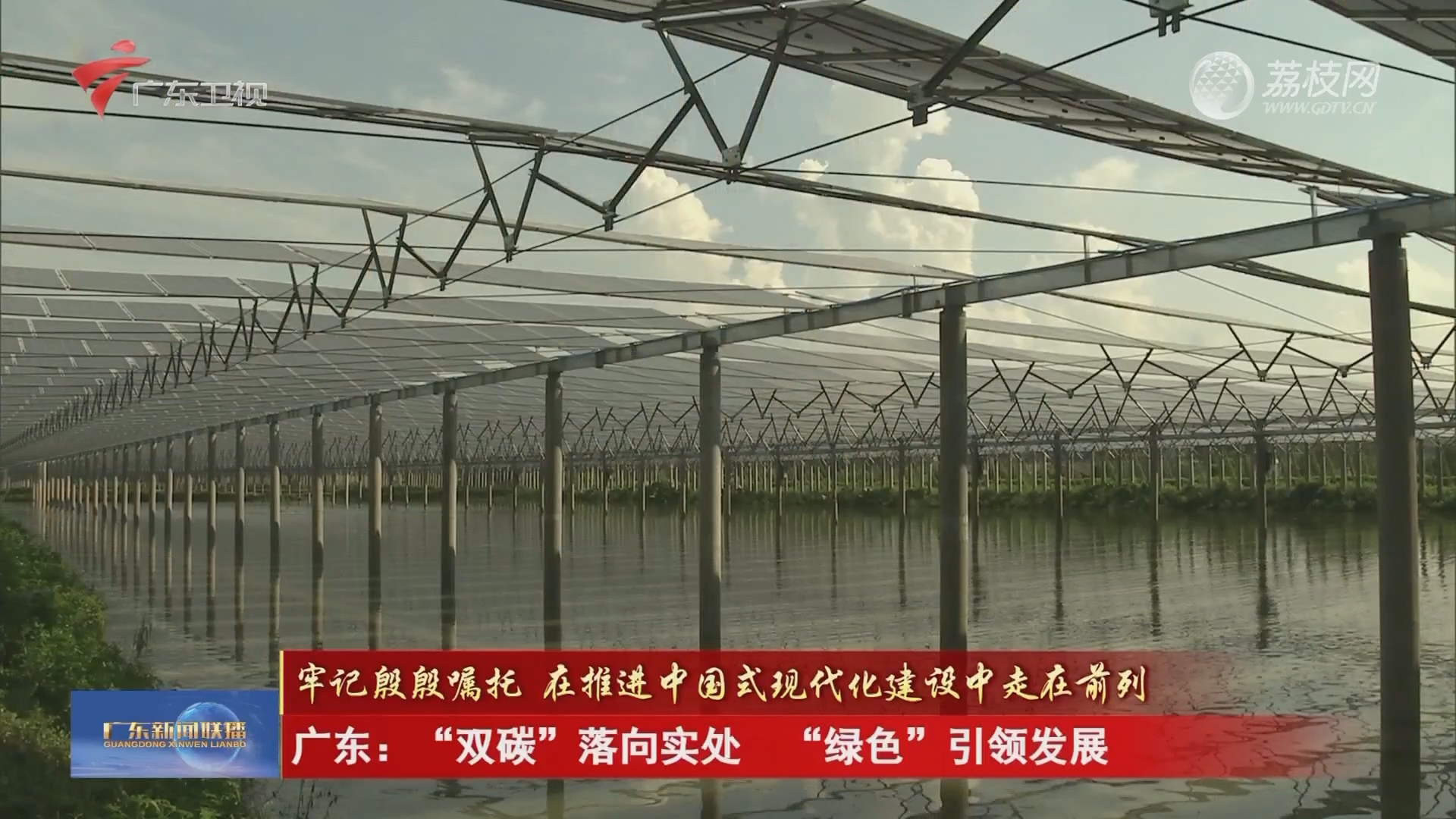 广东：“双碳”落向实处 “绿色”引领发展