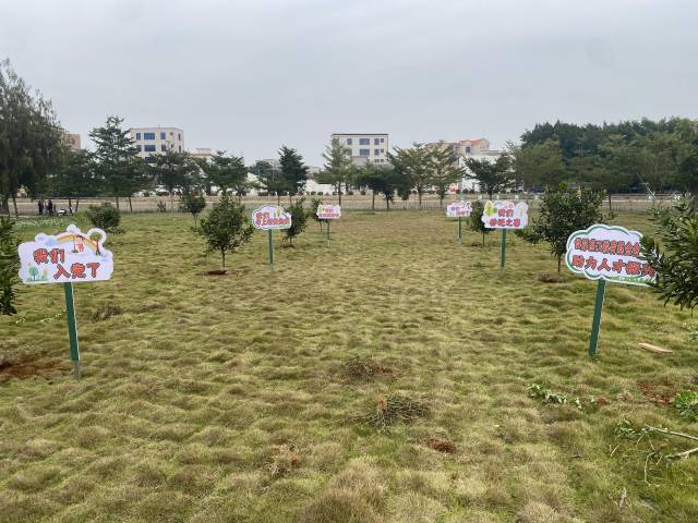 湛江各市（县、区）发出倡议，引导市民群众用种“喜树”方式庆祝喜事，弘扬文明新风尚。