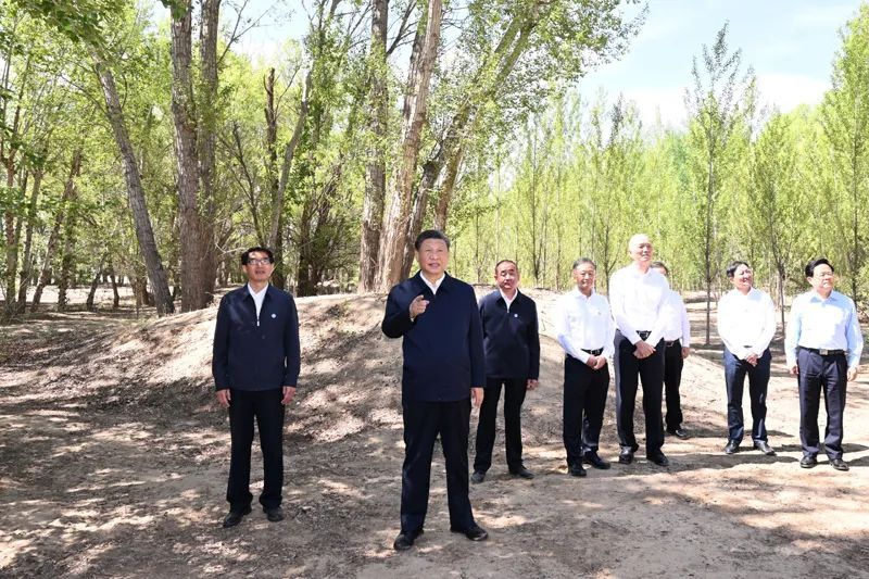 2023年6月6日，习近平总书记在内蒙古巴彦淖尔市临河区国营新华林场考察。