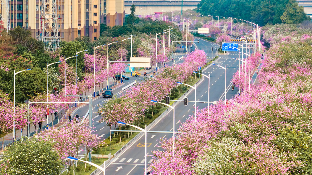 Guangzhou's Liwan reveals enhanced access to Guangzhou Talent Green Card B