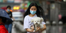 Moderate thunderstorm to hit Guangdong from April 14 Moderate thunderstorm to hit Guangdong from April 14