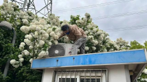 “女生为拍网红照爬上岗亭”引争议,后续来了 “女生为拍网红照爬上岗亭”引争议,后续来了