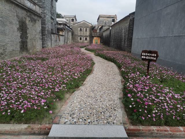 百合镇儒东村的“小花园”。 