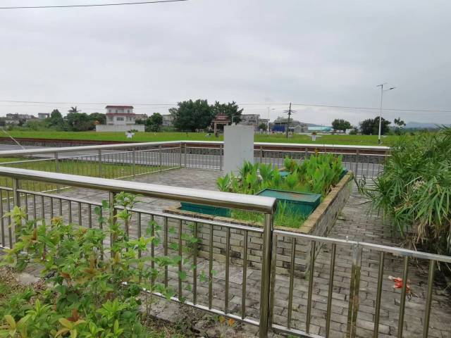 宅群村兴仁自然村污水处理池。 