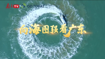 强信心 稳预期 促发展丨向海图强 广东“蓝色经济”引全网点赞! 强信心 稳预期 促发展丨向海图强 广东“蓝色经济”引全网点赞!