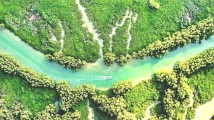 向海图强看广东|湛江深入推进生态建设,绘就绿美新画卷 向海图强看广东|湛江深入推进生态建设,绘就绿美新画卷