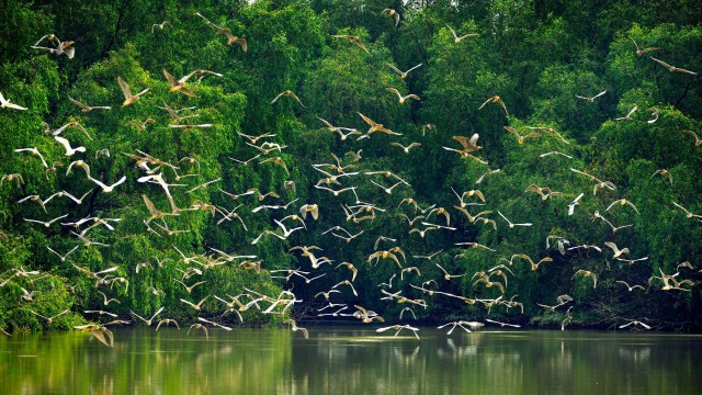 三大区域美丽中国先行区建设行动方案印发实施