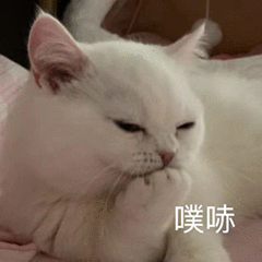 粤省事_20231103_172808.gif