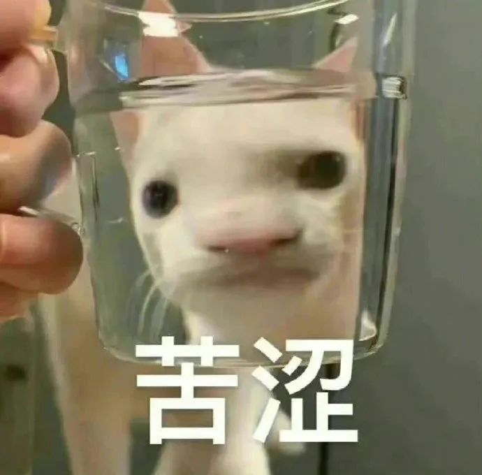 粤省事_20250415_165143.jpg