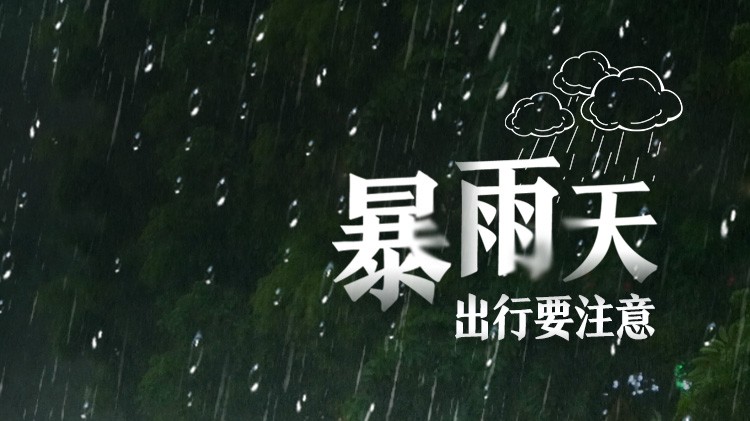 南方公益丨在暴雨中應(yīng)如何避險(xiǎn)？這份安全出行指南請(qǐng)查收