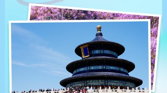 “五一”一路繁花！超3亿人次出游