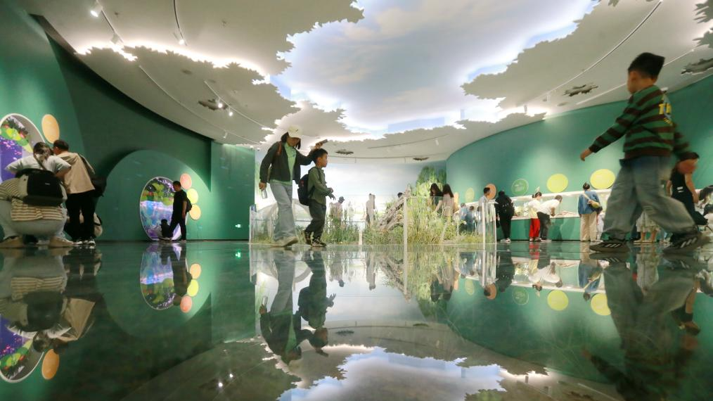 Museum visits hit record high over China's May Day holiday