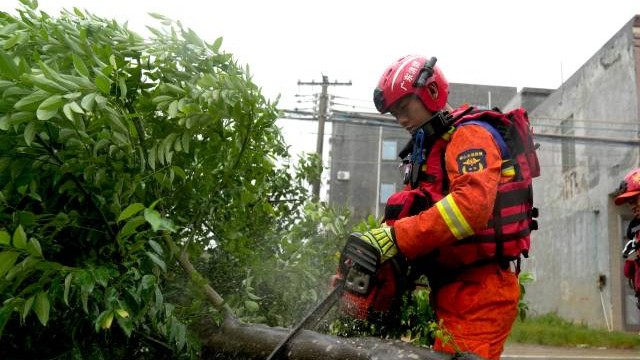 台风“摩羯”已过境，需慎终如始做好后续防灾救灾工作