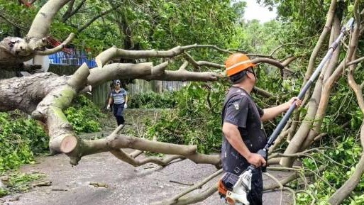 台风“摩羯”过后，湛江港港口复工复产工作加紧展开