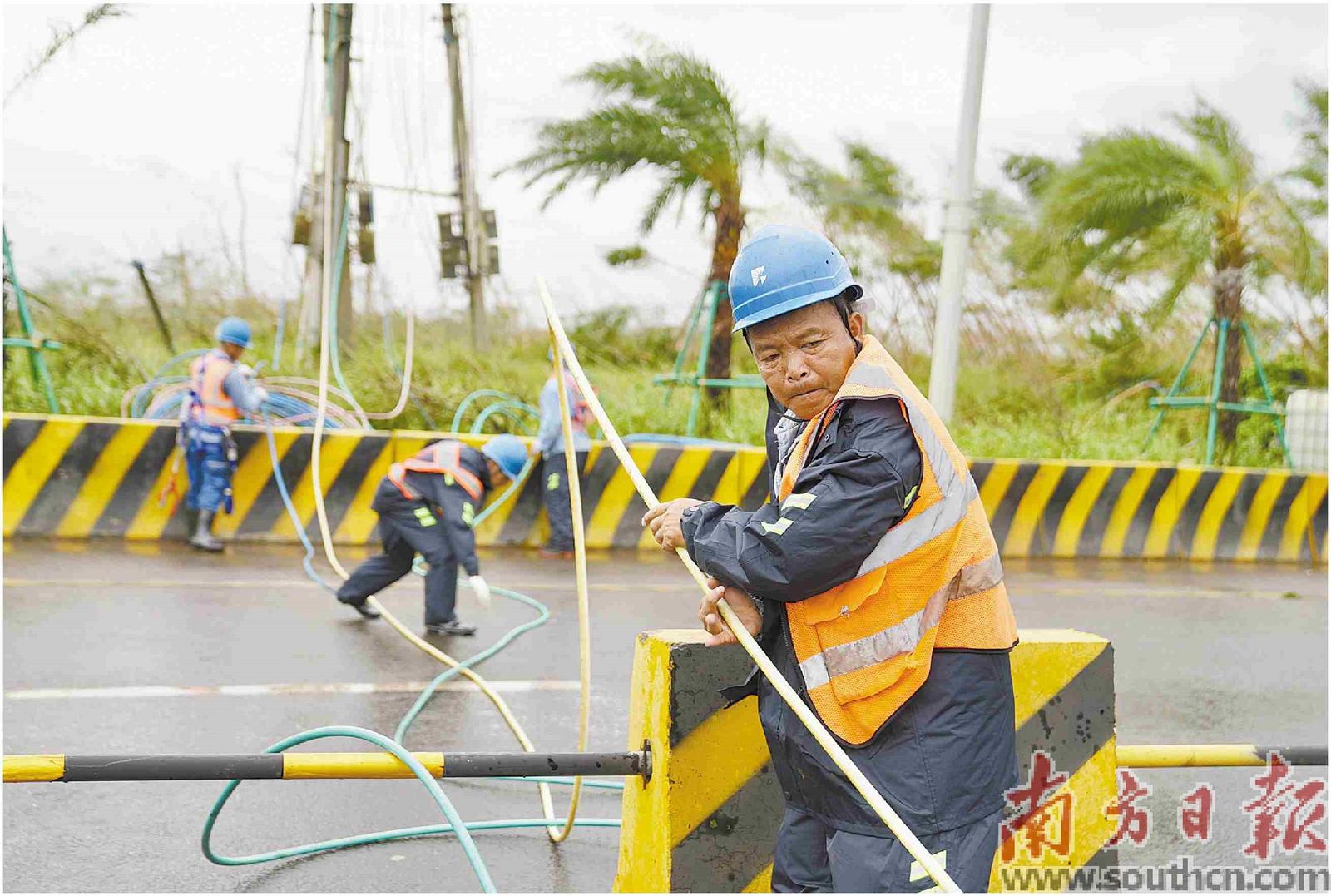 9月7日，在湛江市徐闻县进港大道，电路抢修队伍清理被吹损的电线。摄影：南方日报记者 钟志辉 吴明