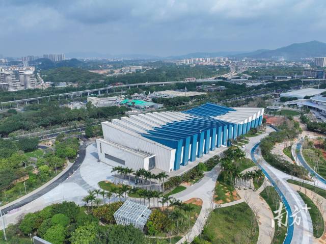 广东奥林匹克体育中心游泳跳水馆。南方+记者 姚志豪 仇敏业 摄 广东奥林匹克体育中心游泳跳水馆。南方+记者 姚志豪 仇敏业 摄