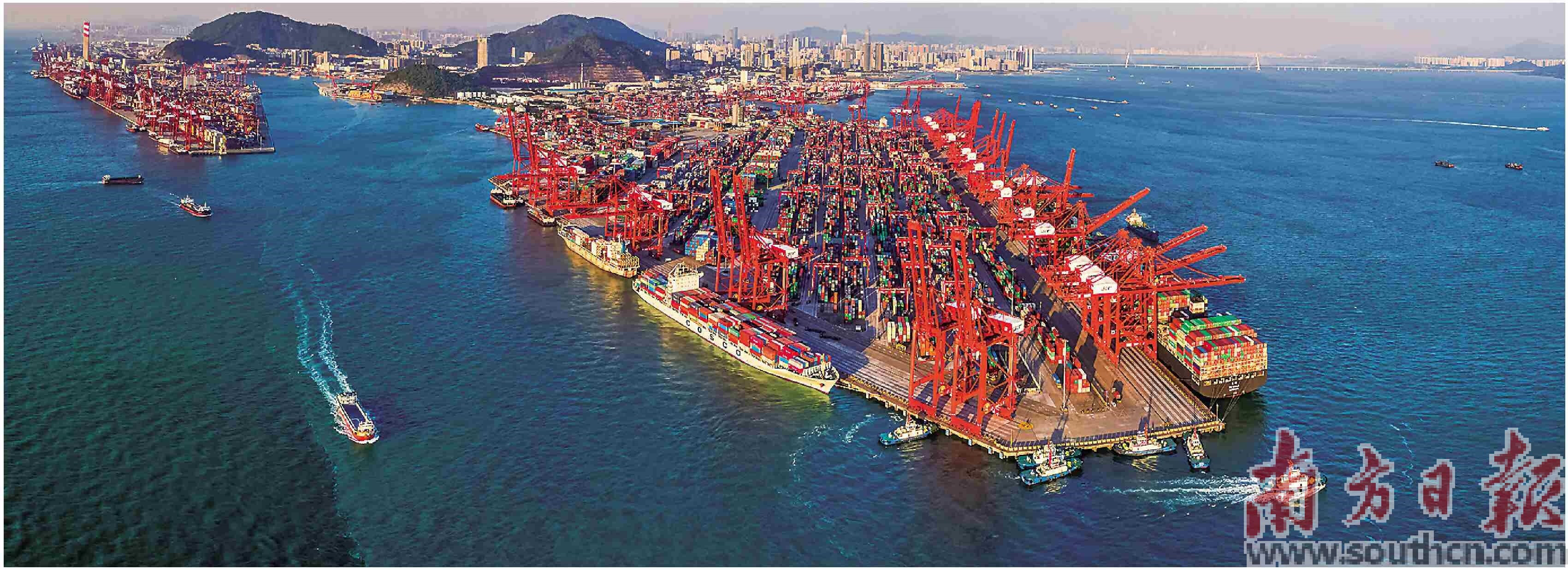 深圳蛇口港集装箱运输一派繁忙景象。资料图片