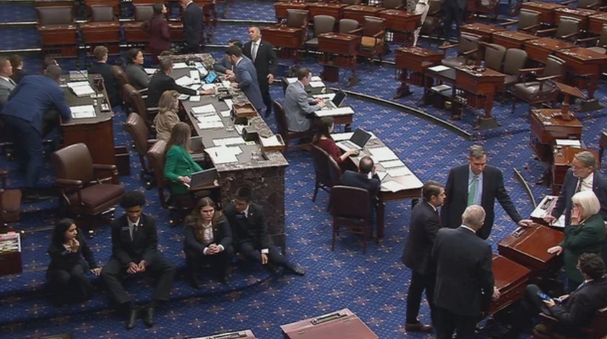 当地时间11月4日,美国参议院。