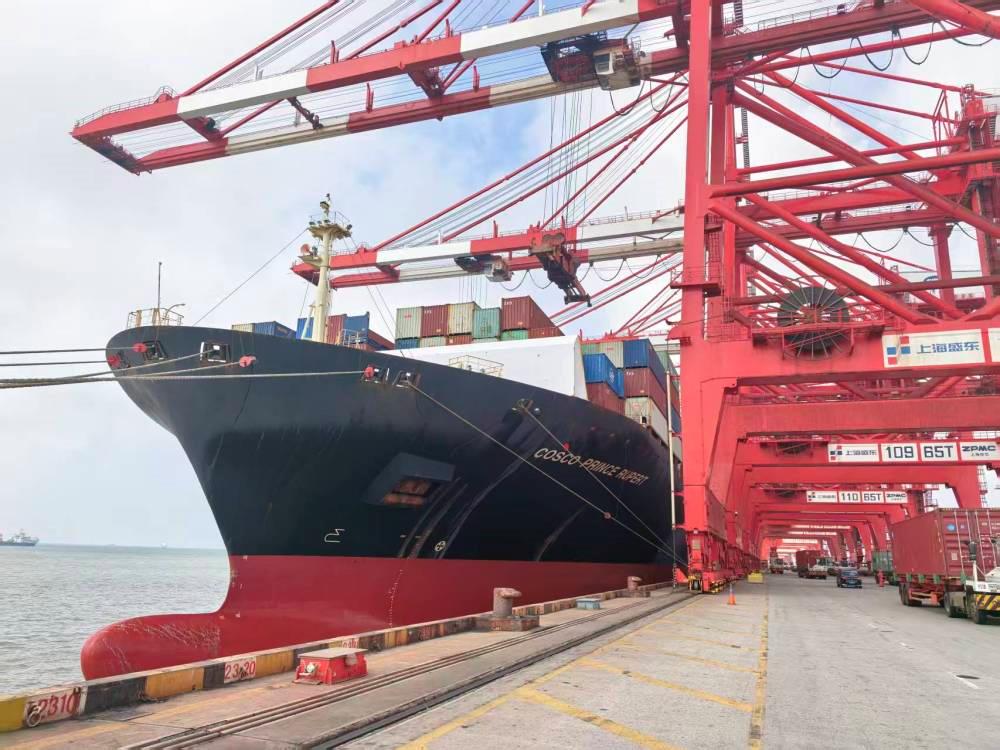 △2025年10月15日,上海洋山深水港,首批来自秘鲁钱凯港的进博会展品顺利卸货。