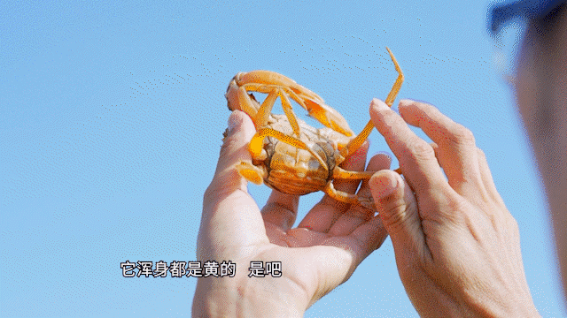 图源：广东卫视