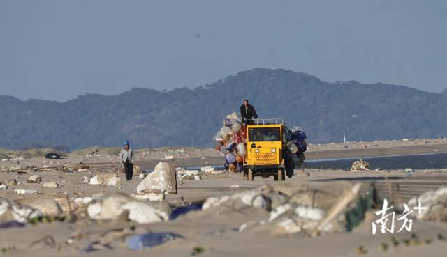 2024年12月13日,在培隆沙滩上,垃圾清运工作人员清走一车海漂垃圾。 2024年12月13日,在培隆沙滩上,垃圾清运工作人员清走一车海漂垃圾。