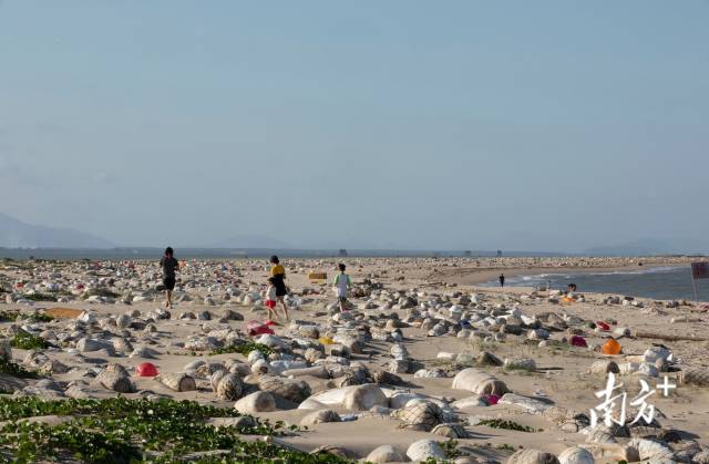 2021年5月15日,培隆沙滩上,游客在游玩,各种海漂垃圾占据着整片海滩。 2021年5月15日,培隆沙滩上,游客在游玩,各种海漂垃圾占据着整片海滩。
