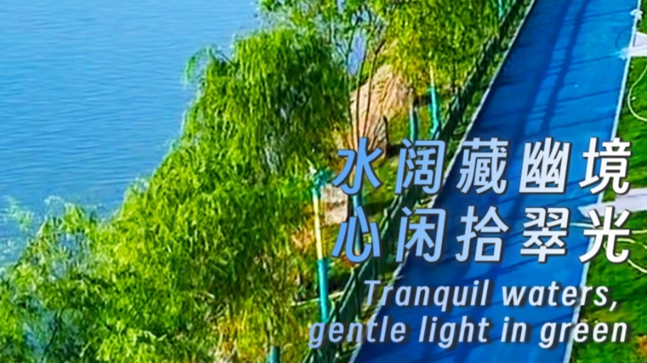 Tranquil waters, gentle light in green